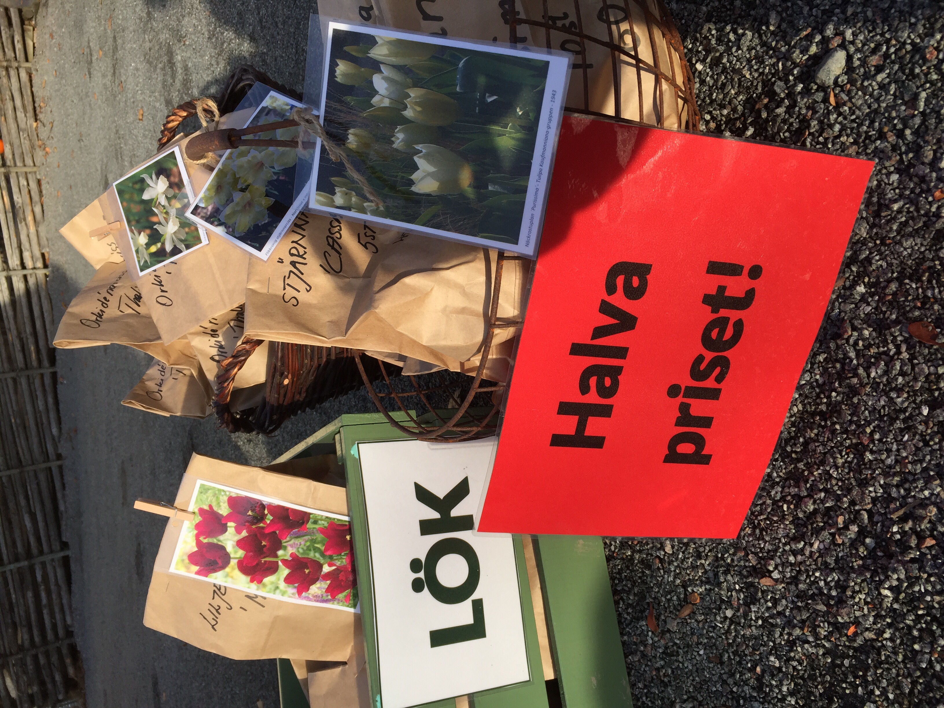 Halva priset på blomsterlök!