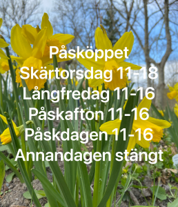 Läs mer om artikeln Påsköppet
