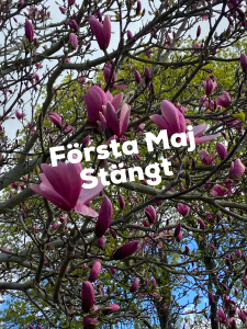 Läs mer om artikeln Första Maj